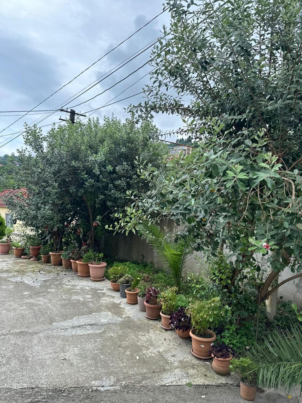 Hostal Shamil House Makhinjauri Exterior foto