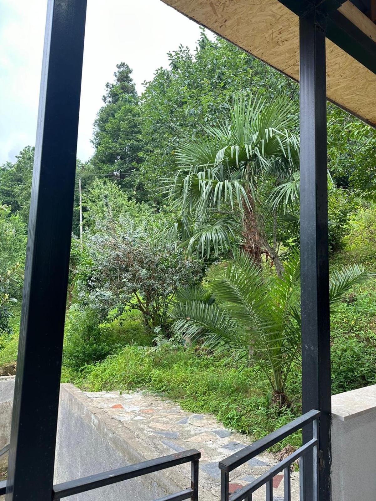 Hostal Shamil House Makhinjauri Exterior foto
